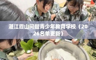 湛江霞山问题青少年教育学校（2026名单更新）