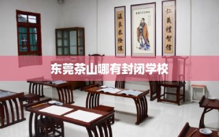 东莞茶山哪有封闭学校