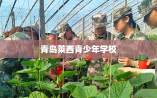 青岛莱西青少年学校