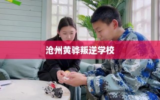 沧州黄骅叛逆学校
