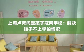 上海卢湾问题孩子戒网学校：解决孩子不上学的情况
