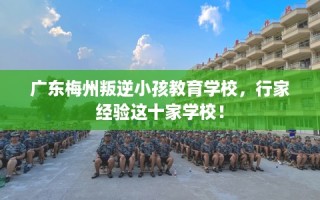 广东梅州叛逆小孩教育学校，行家经验这十家学校！