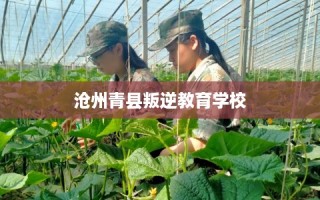 沧州青县叛逆教育学校
