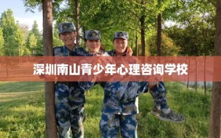 深圳南山青少年心理咨询学校