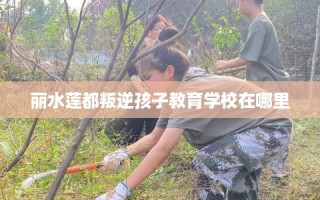 丽水莲都叛逆孩子教育学校在哪里