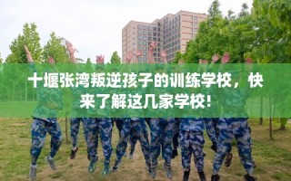 十堰张湾叛逆孩子的训练学校，快来了解这几家学校!