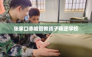张家口赤城管教孩子叛逆学校