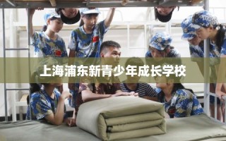 上海浦东新青少年成长学校