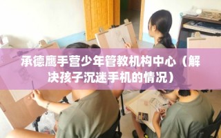 承德鹰手营少年管教机构中心（解决孩子沉迷手机的情况）