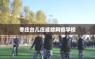 枣庄台儿庄戒除网瘾学校