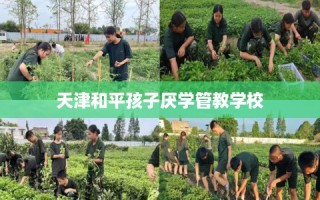 天津和平孩子厌学管教学校