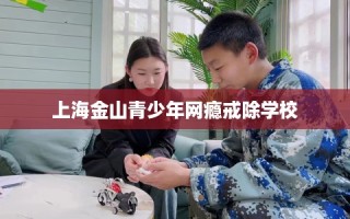 上海金山青少年网瘾戒除学校