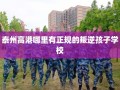 泰州高港哪里有正规的叛逆孩子学校