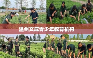 温州文成青少年教育机构