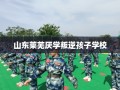 山东莱芜厌学叛逆孩子学校