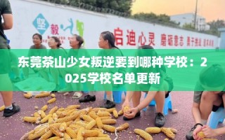 东莞茶山少女叛逆要到哪种学校：2025学校名单更新
