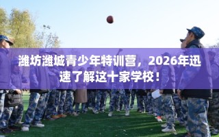 潍坊潍城青少年特训营，2026年迅速了解这十家学校！