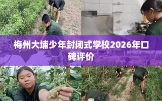 梅州大埔少年封闭式学校2026年口碑评价
