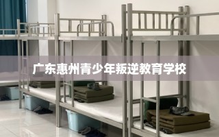 广东惠州青少年叛逆教育学校