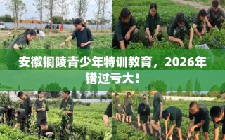 安徽铜陵青少年特训教育，2026年错过亏大！