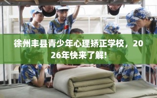 徐州丰县青少年心理矫正学校，2026年快来了解!