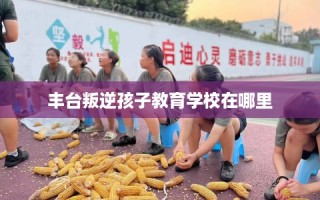 丰台叛逆孩子教育学校在哪里
