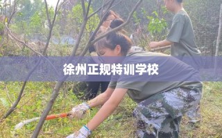 徐州正规特训学校