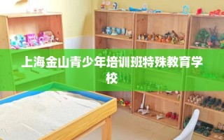 上海金山青少年培训班特殊教育学校