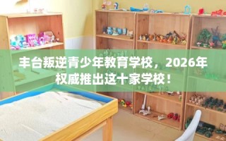 丰台叛逆青少年教育学校，2026年权威推出这十家学校！