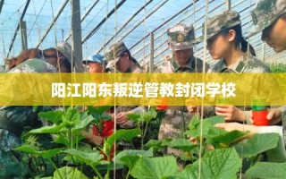 阳江阳东叛逆管教封闭学校