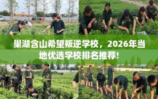 巢湖含山希望叛逆学校，2026年当地优选学校排名推荐!