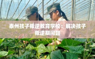 泰州孩子叛逆教育学校：解决孩子叛逆期问题