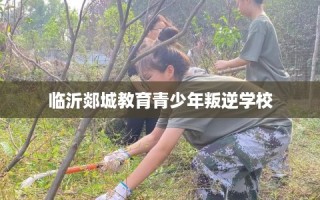 临沂郯城教育青少年叛逆学校