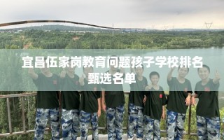 宜昌伍家岗教育问题孩子学校排名甄选名单