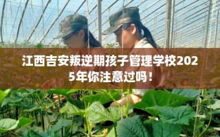 江西吉安叛逆期孩子管理学校2025年你注意过吗！