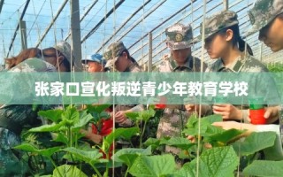 张家口宣化叛逆青少年教育学校