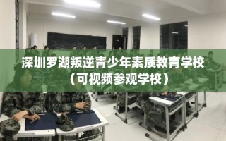 深圳罗湖叛逆青少年素质教育学校（可视频参观学校）