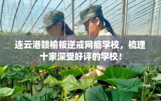连云港赣榆叛逆戒网瘾学校，梳理十家深受好评的学校！