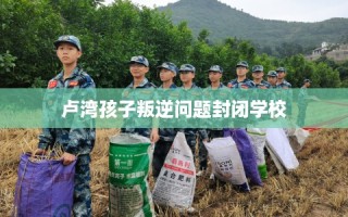 卢湾孩子叛逆问题封闭学校