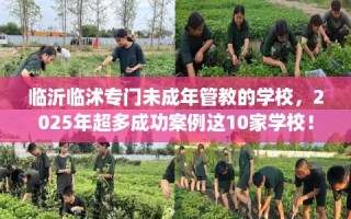 临沂临沭专门未成年管教的学校，2025年超多成功案例这10家学校！