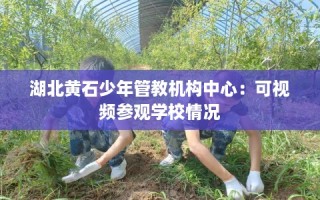 湖北黄石少年管教机构中心：可视频参观学校情况