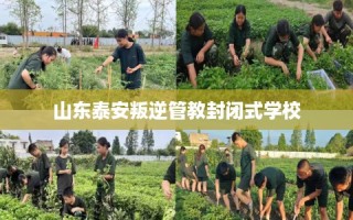 山东泰安叛逆管教封闭式学校