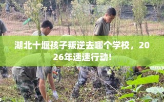 湖北十堰孩子叛逆去哪个学校，2026年速速行动!