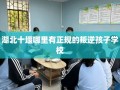 湖北十堰哪里有正规的叛逆孩子学校