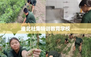 淮北杜集特训教育学校