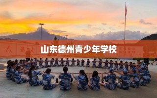山东德州青少年学校