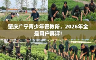 肇庆广宁青少年管教所，2026年全是用户真评!