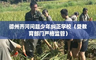 德州齐河问题少年纠正学校（受教育部门严格监管）