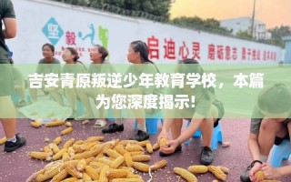 吉安青原叛逆少年教育学校，本篇为您深度揭示!