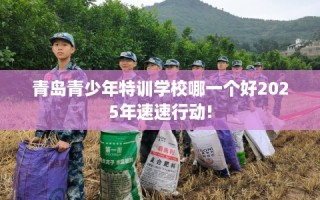 青岛青少年特训学校哪一个好2025年速速行动!